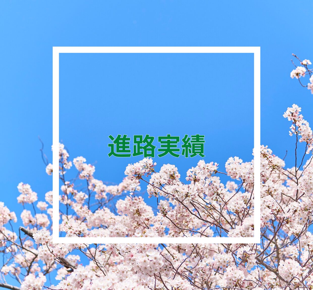 【新法人】進路実績