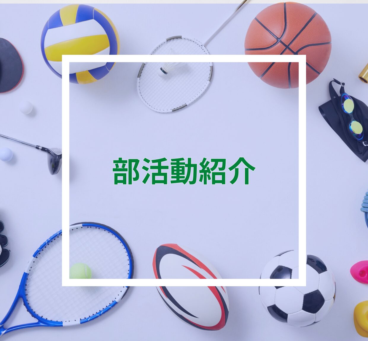 【新法人】部活動紹介