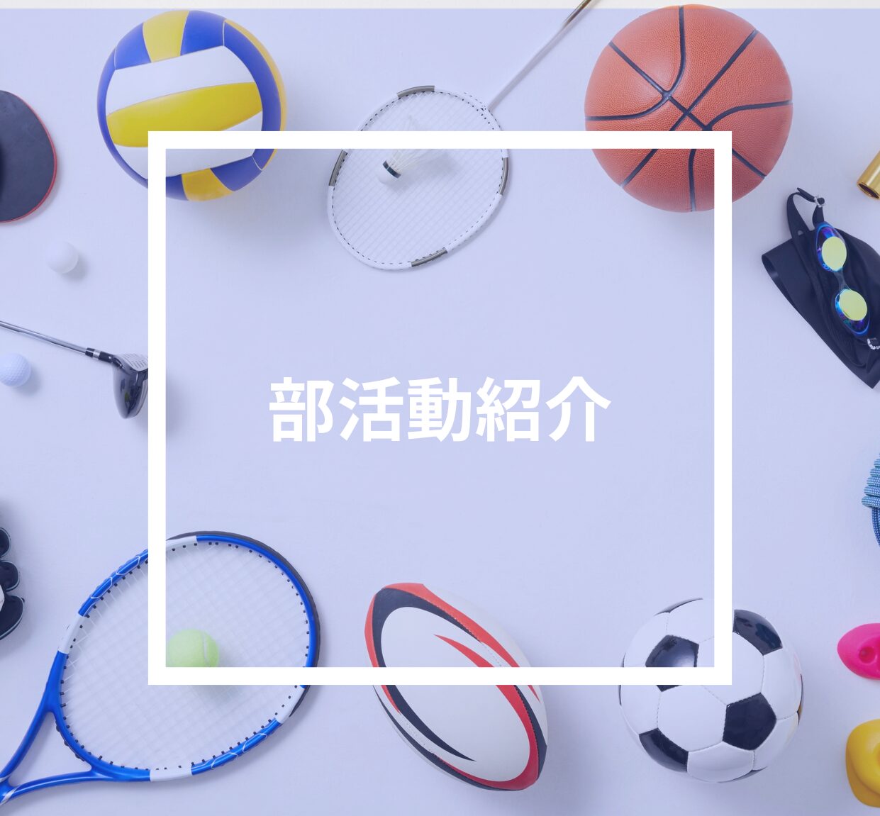 部活動紹介